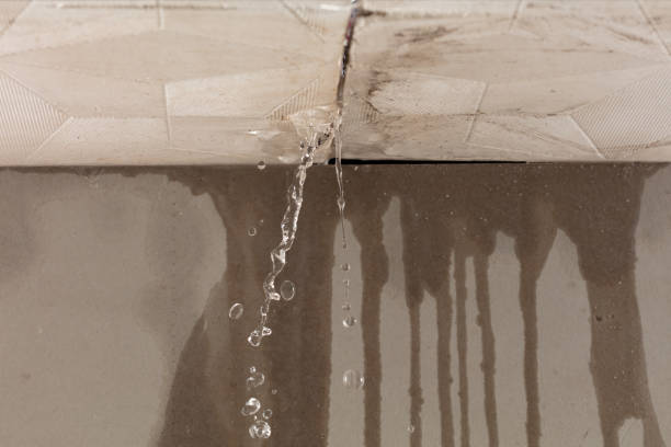Professional Burst Pipe Cleanup technician working in Southfield, MI